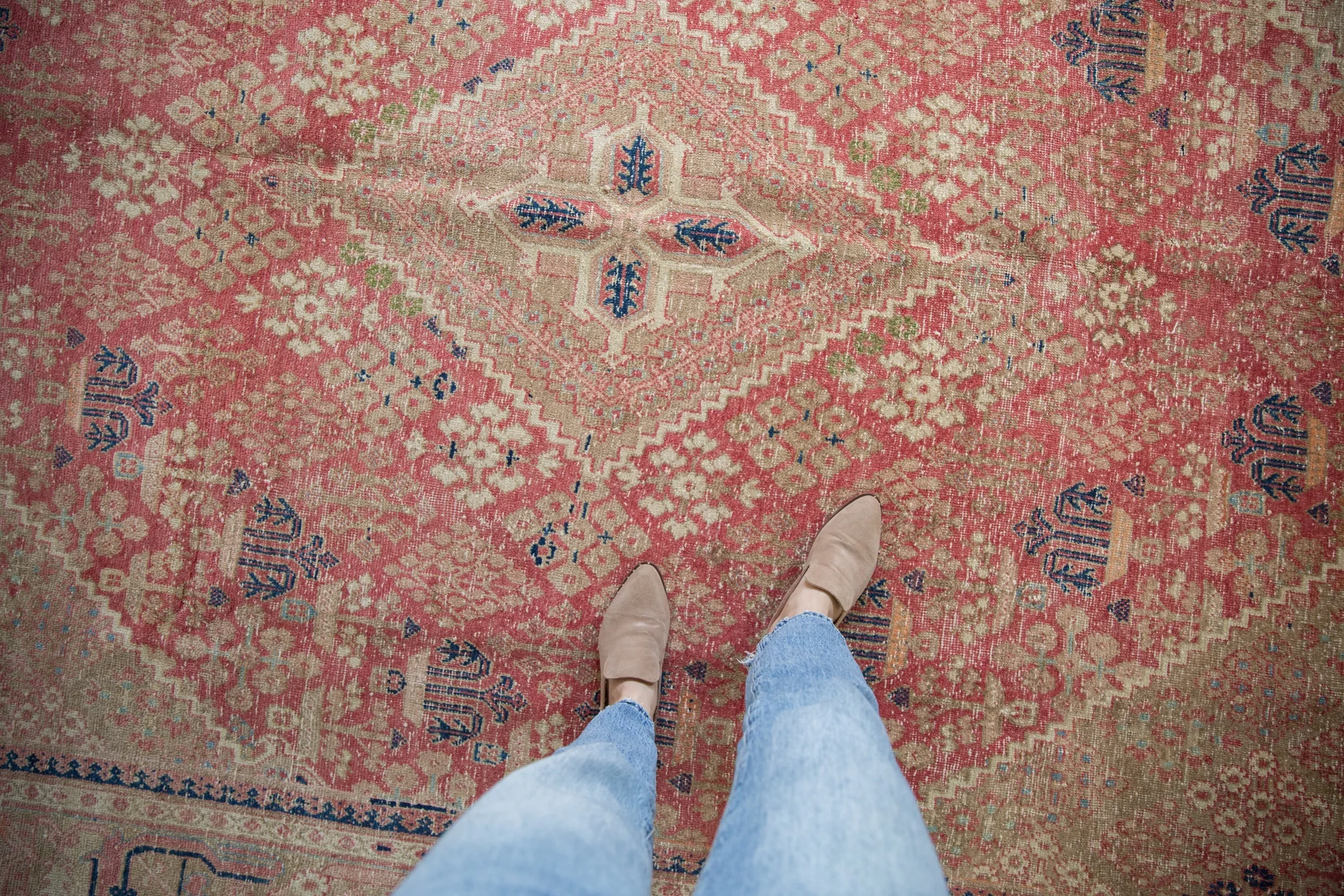 9x12 Vintage Distressed Joshegan Carpet