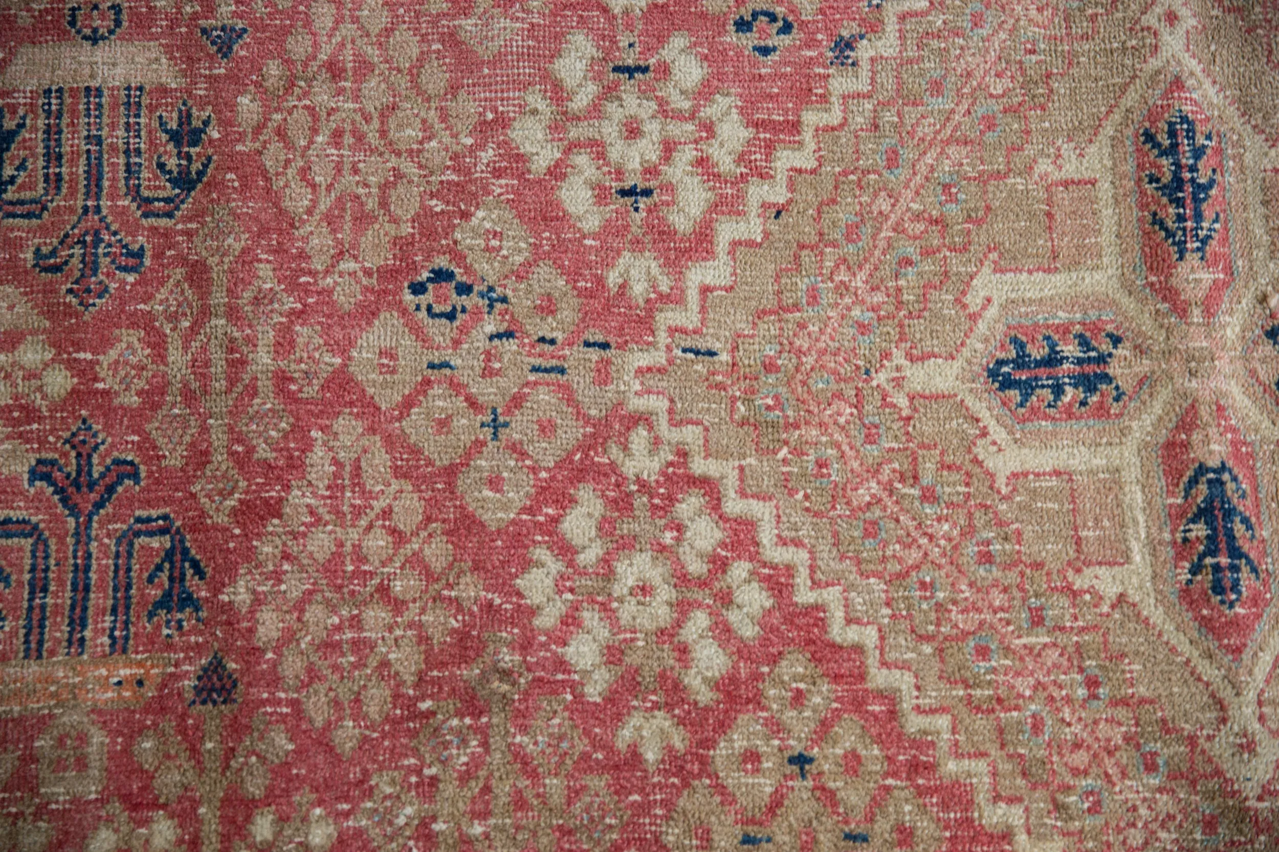 9x12 Vintage Distressed Joshegan Carpet
