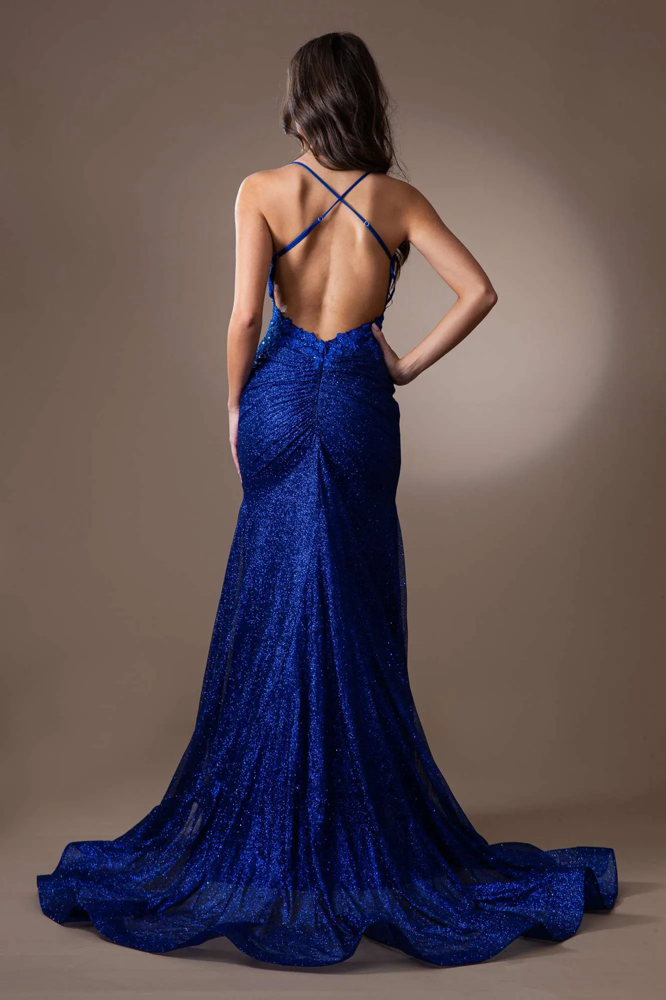 Amelia Couture TM1014 Long Mermaid Fitted Glitter Scoop Neck Dress