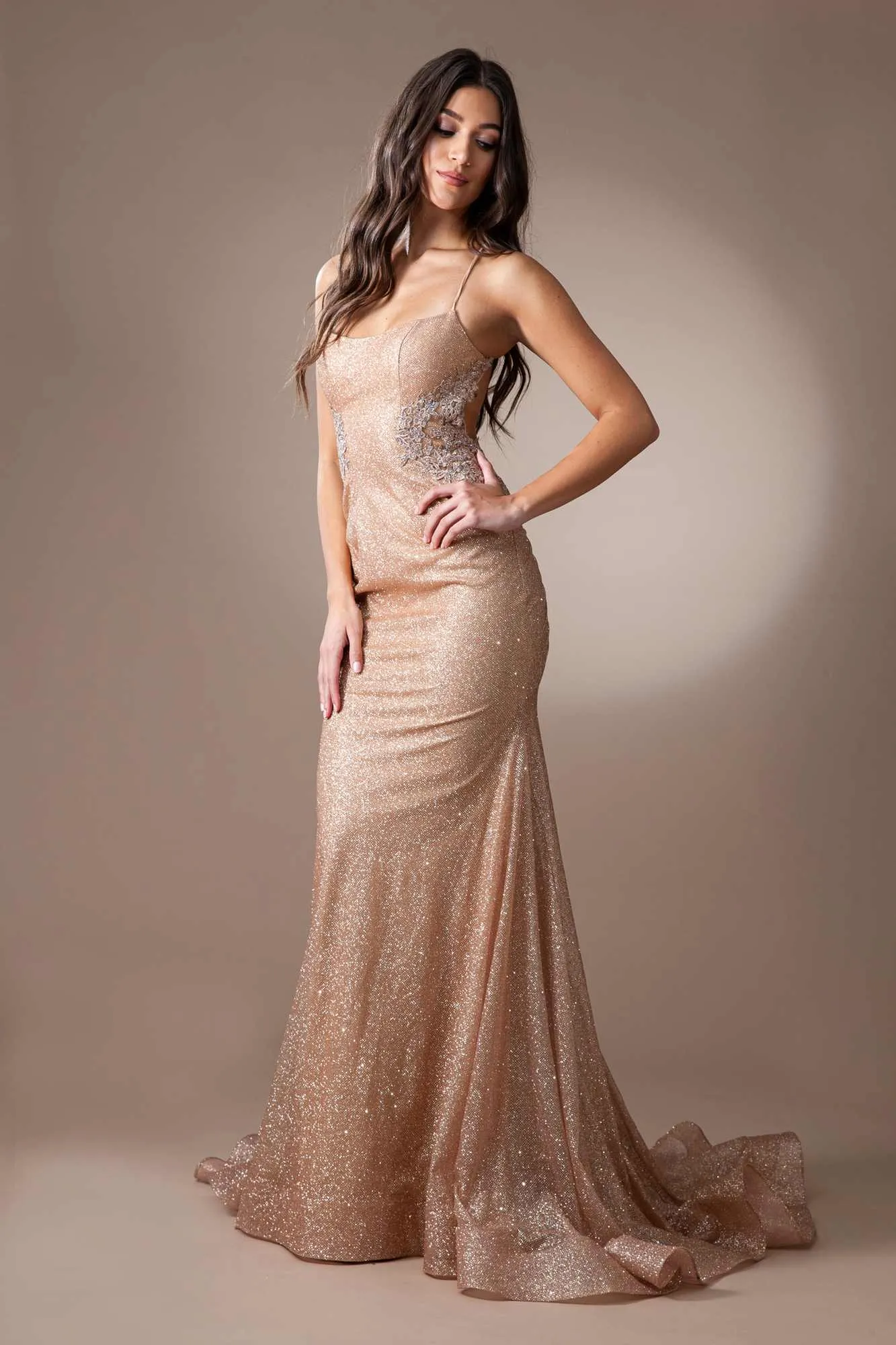Amelia Couture TM1014 Long Mermaid Fitted Glitter Scoop Neck Dress