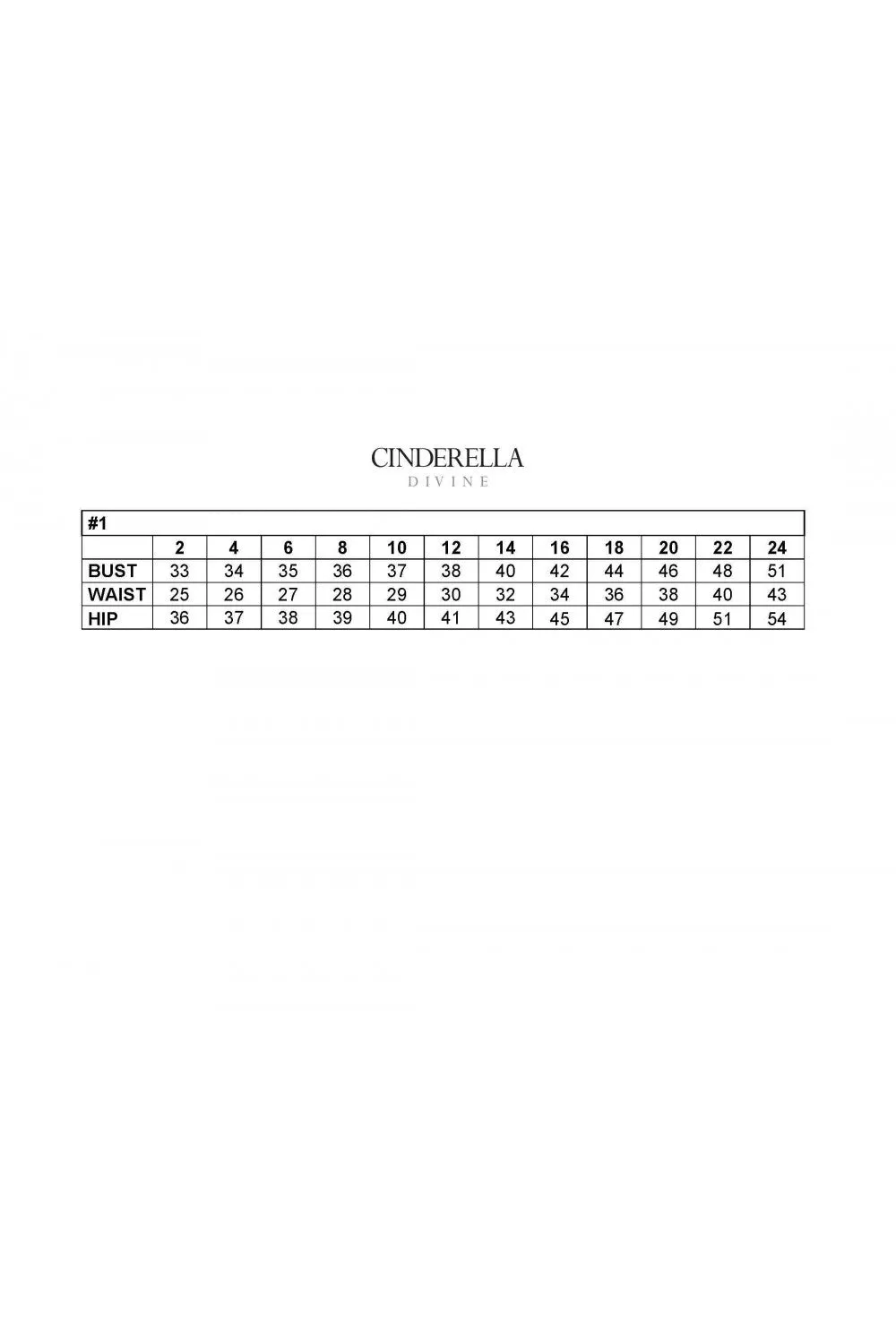 Cinderella Evening Dress CD975C