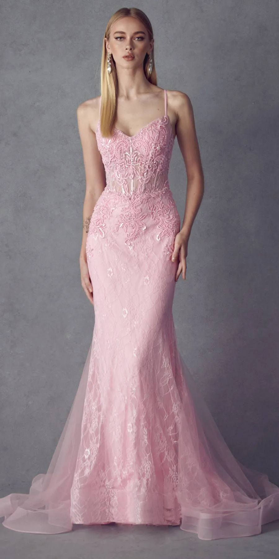 Juliet 250 Embellished Lace Mermaid Dress