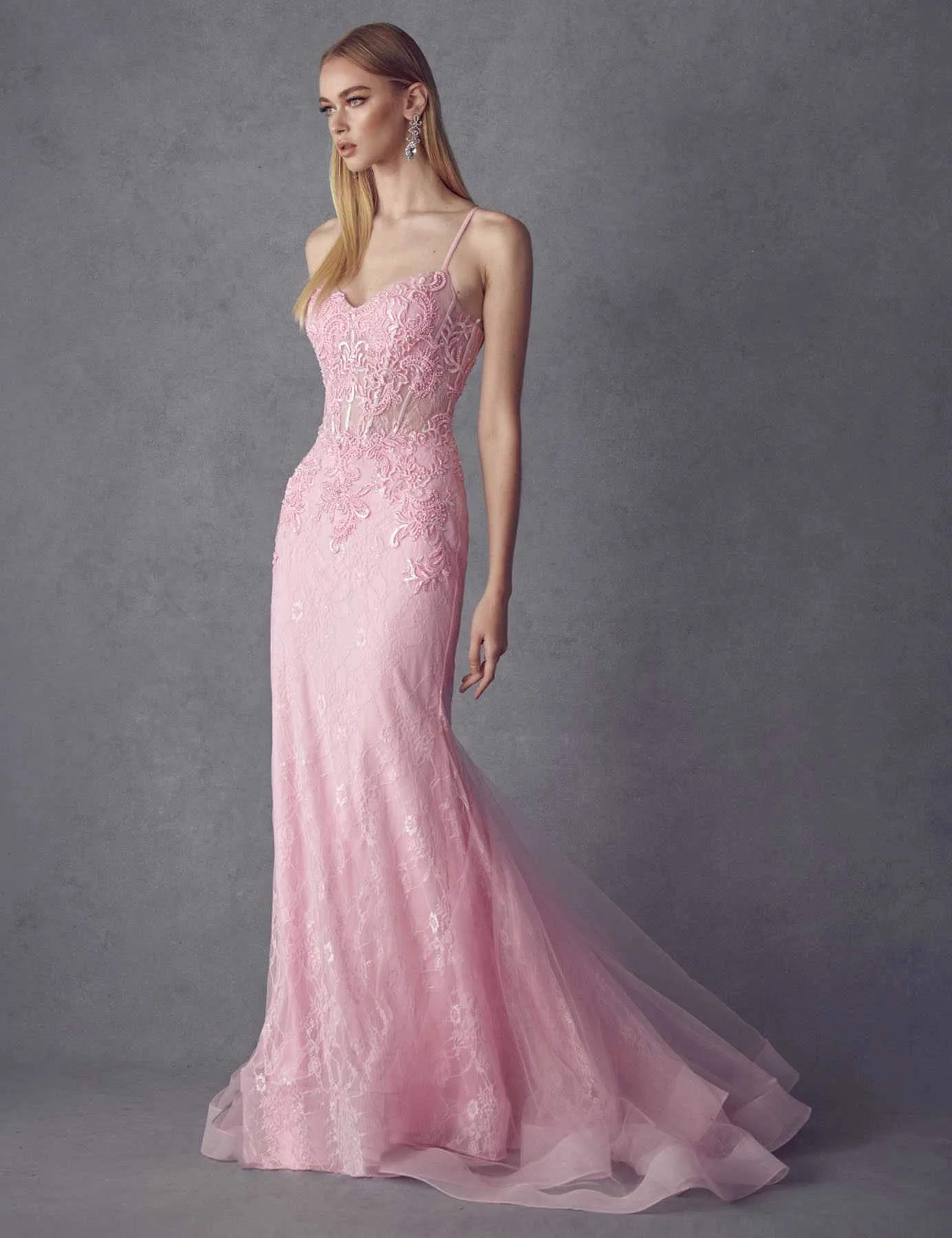 Juliet 250 Embellished Lace Mermaid Dress