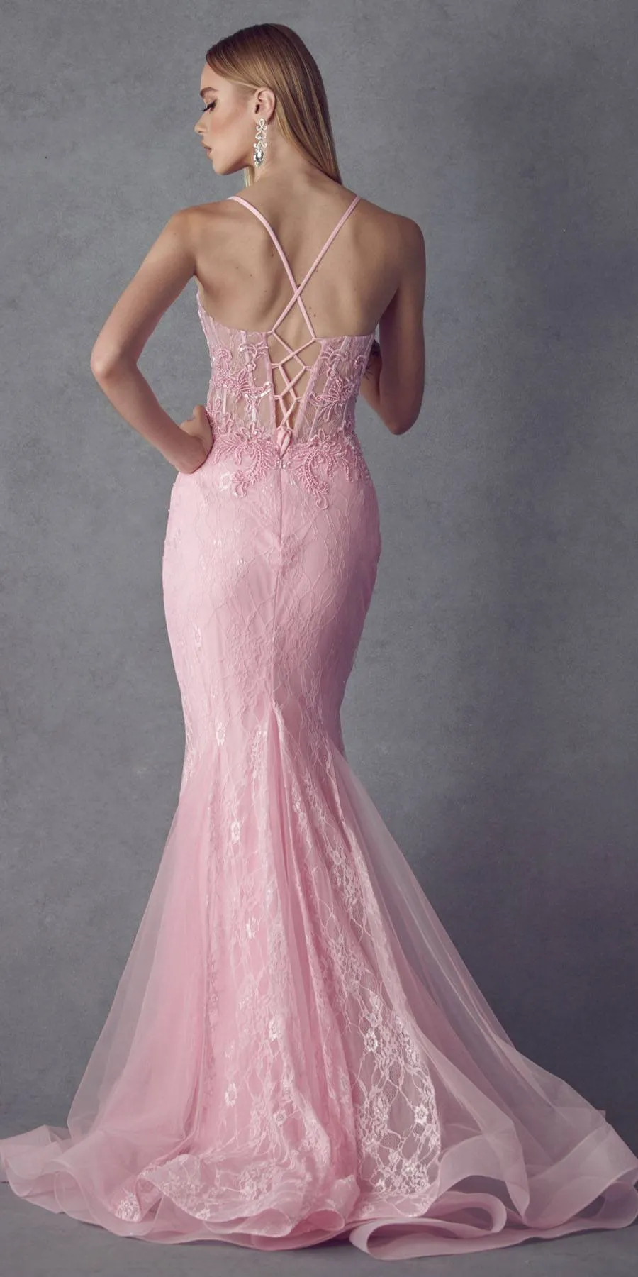 Juliet 250 Embellished Lace Mermaid Dress