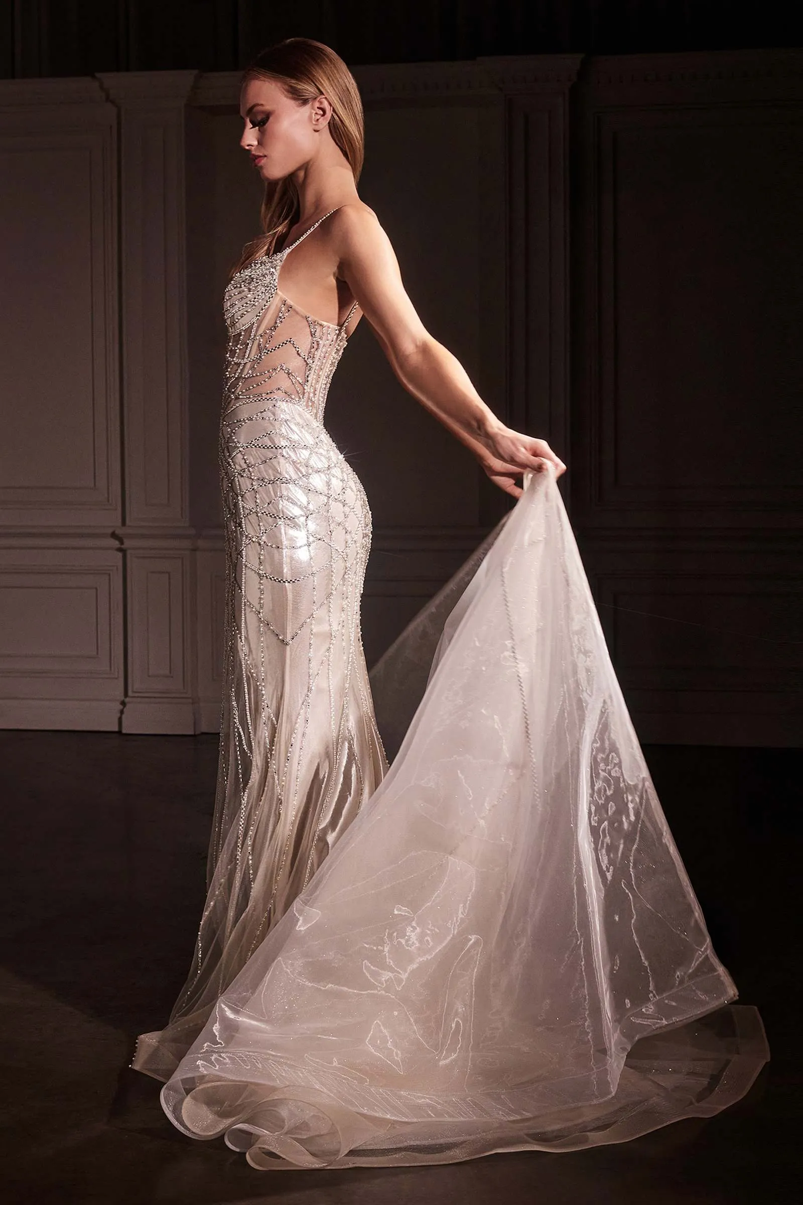Ladivine CD763 Fit & Flare Crystal Embellished Gown & Overskirt