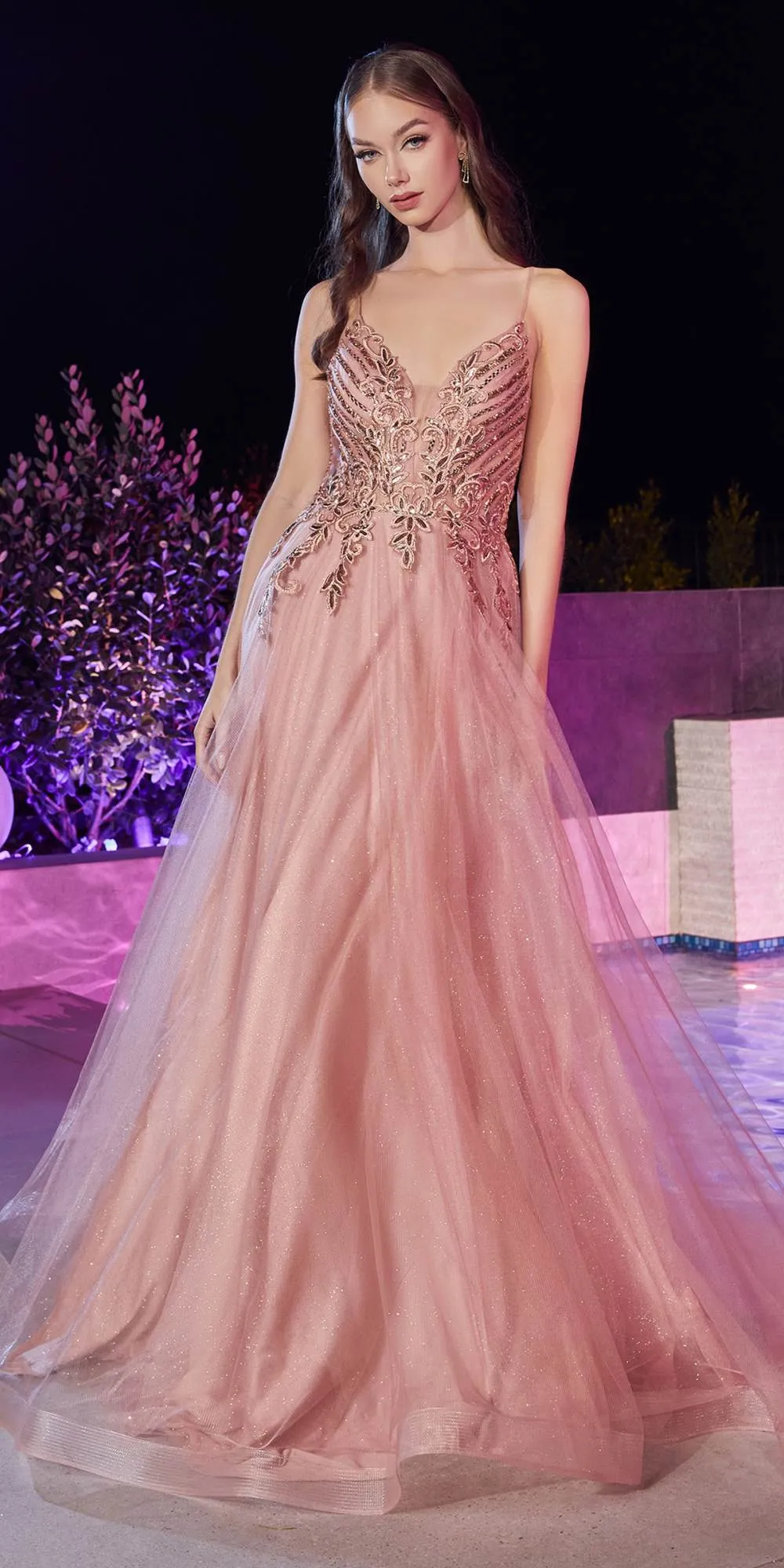 Ladivine CD874 Floor Length A-Line Tulle Gown Embellished Bodice