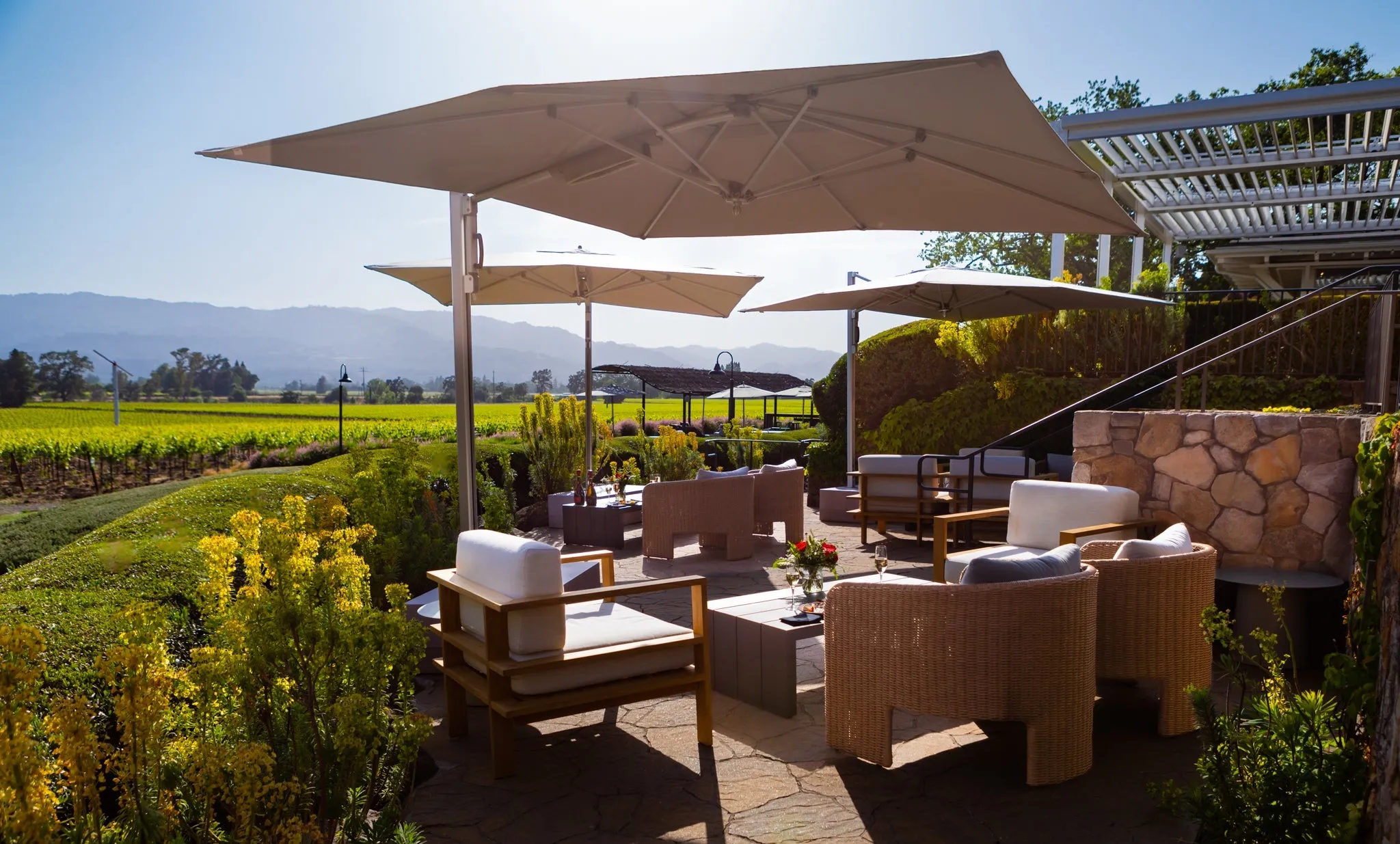 Mumm Napa Brut Rosé Sparkling Wine