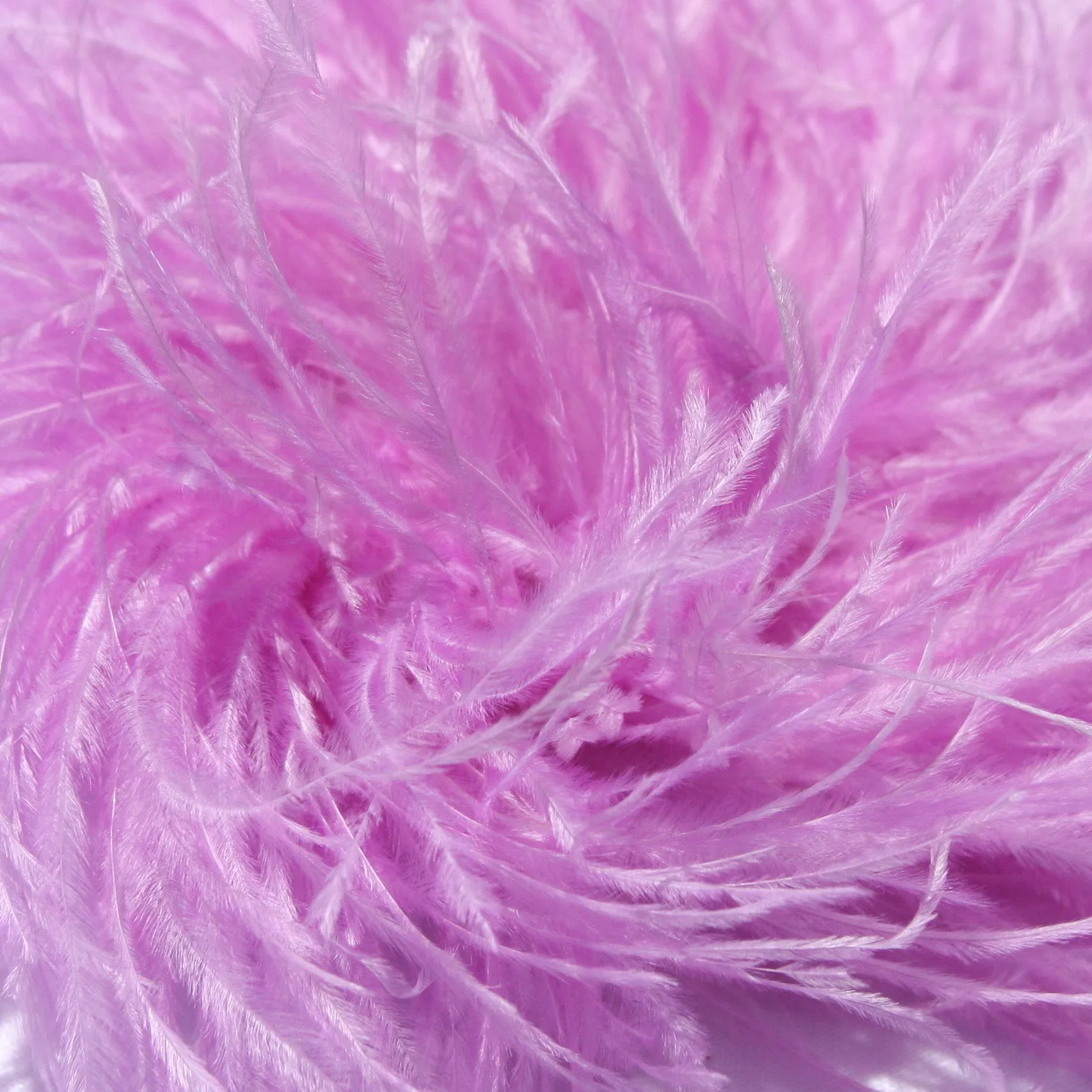 Ostrich Feather Boa
