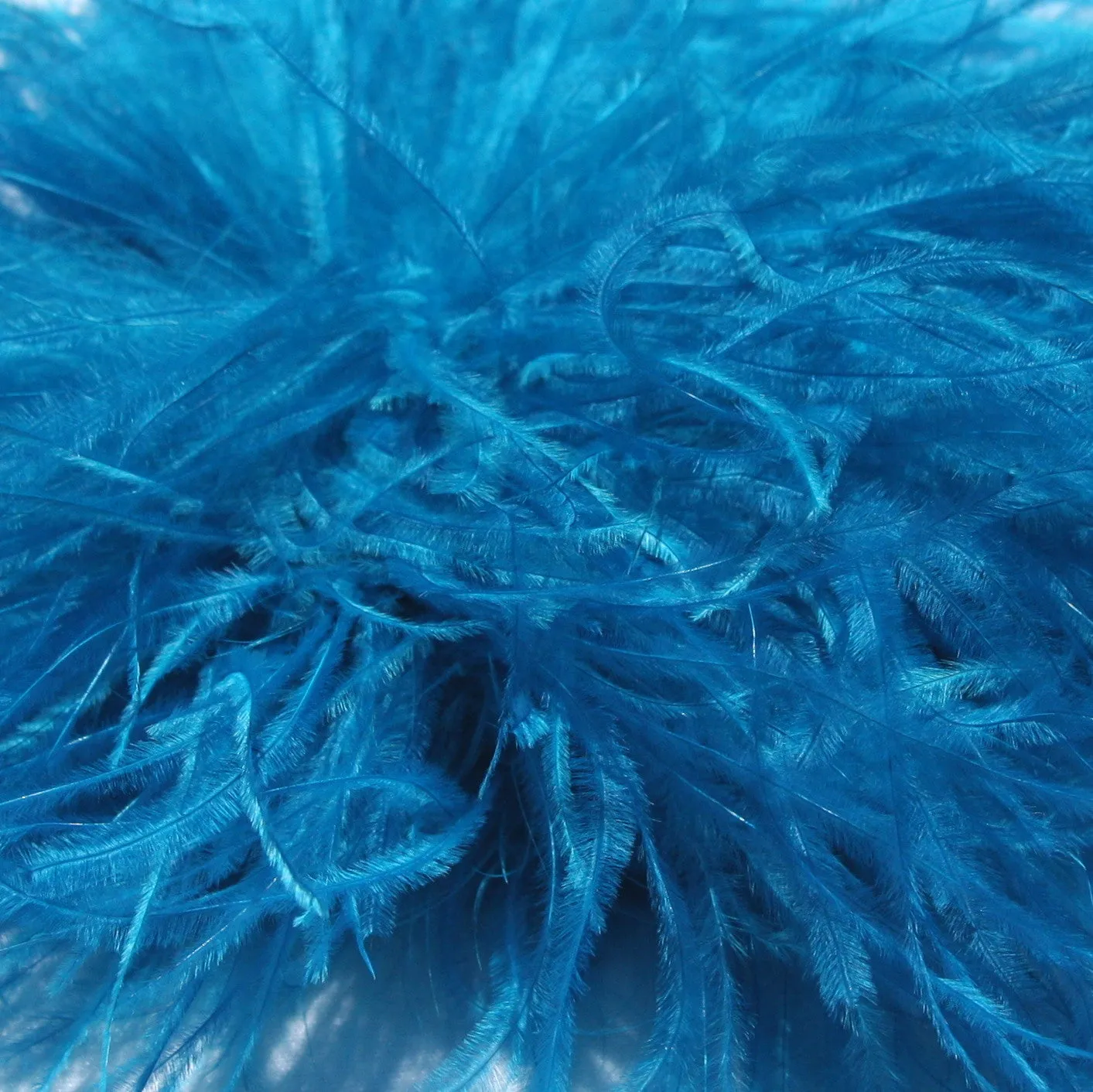 Ostrich Feather Boa