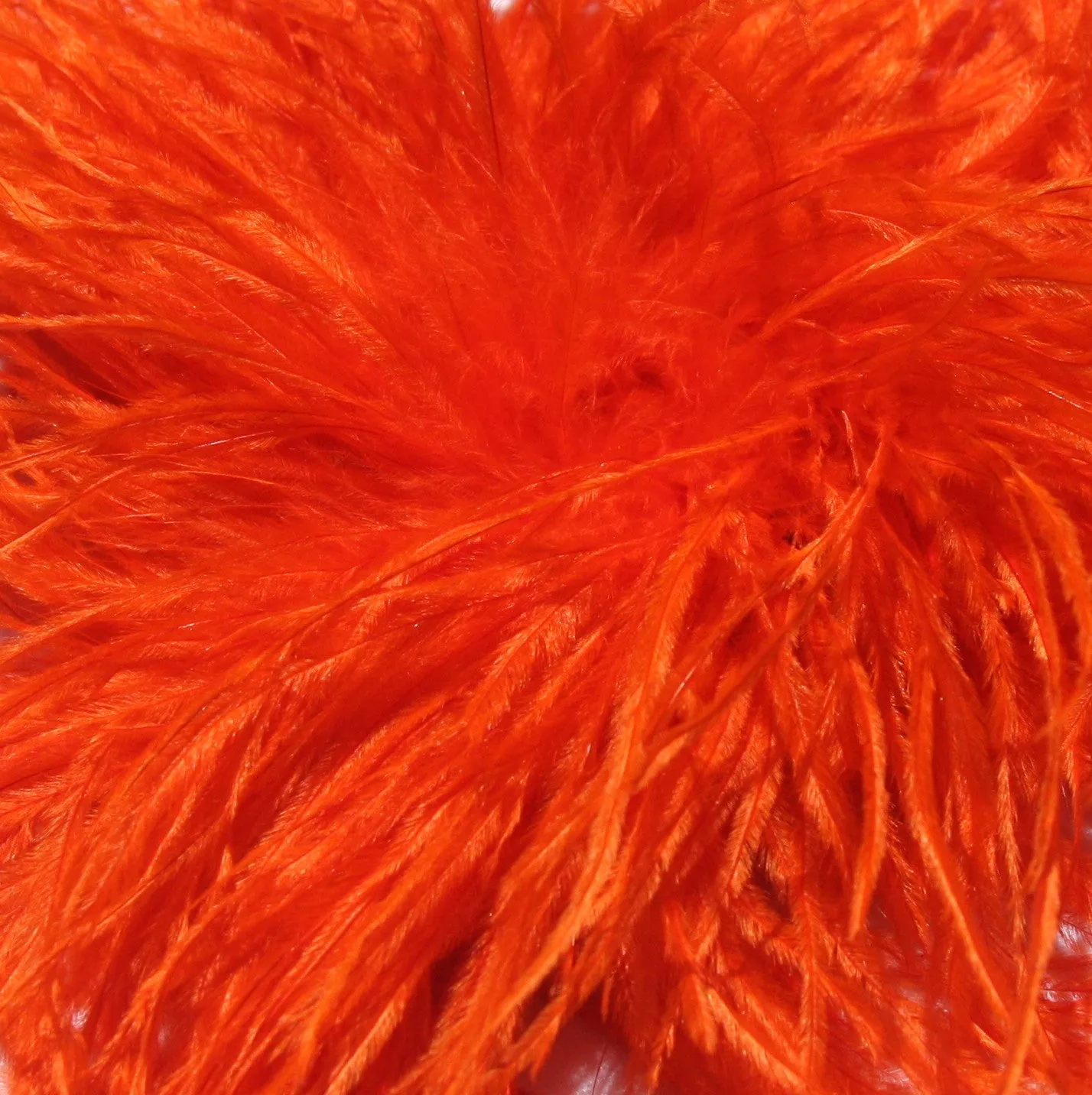 Ostrich Feather Boa