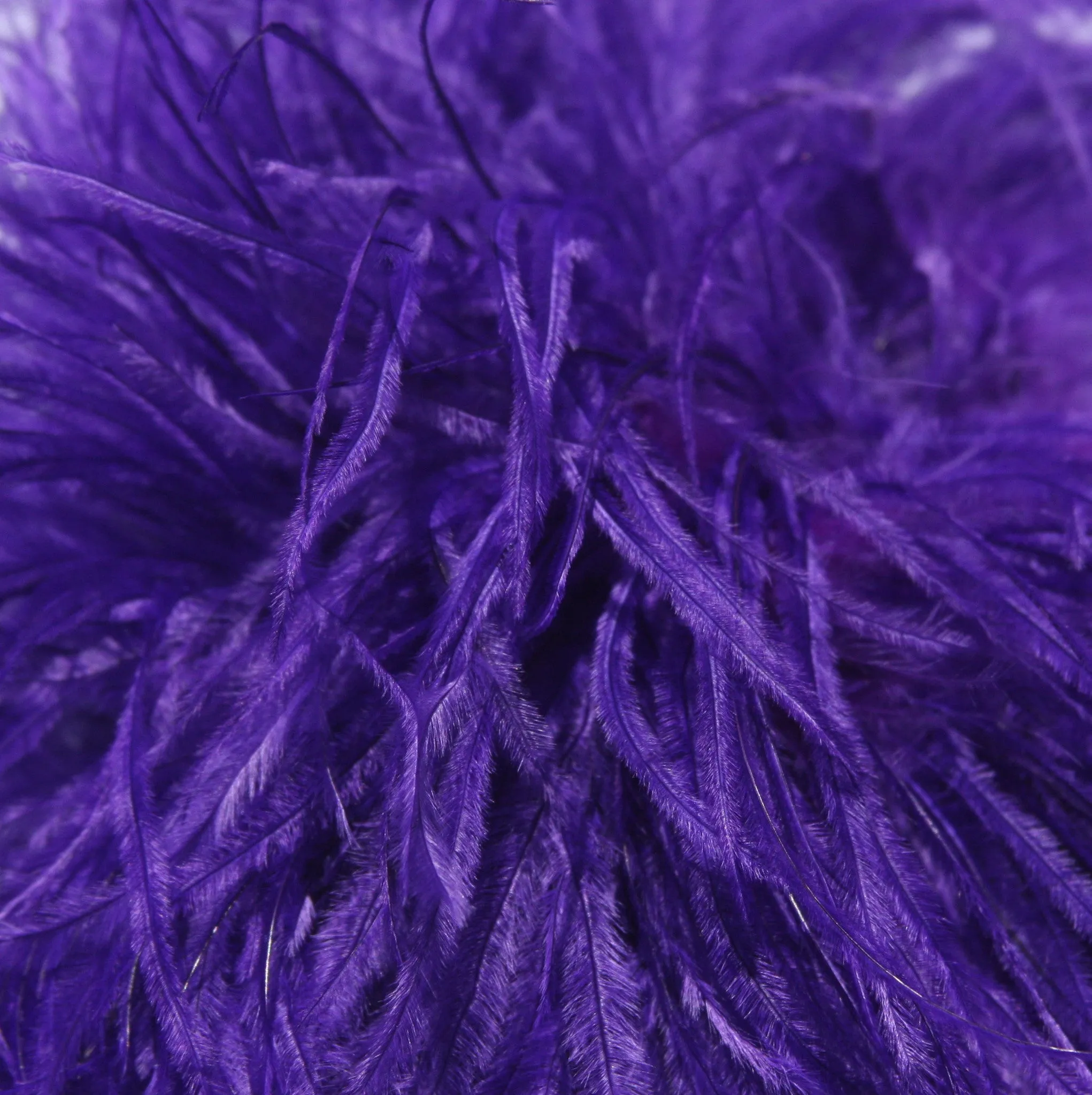 Ostrich Feather Boa