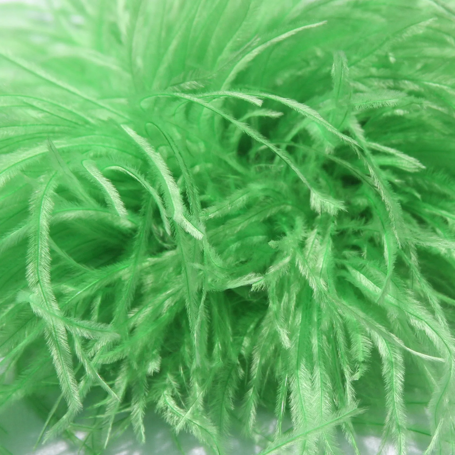 Ostrich Feather Boa