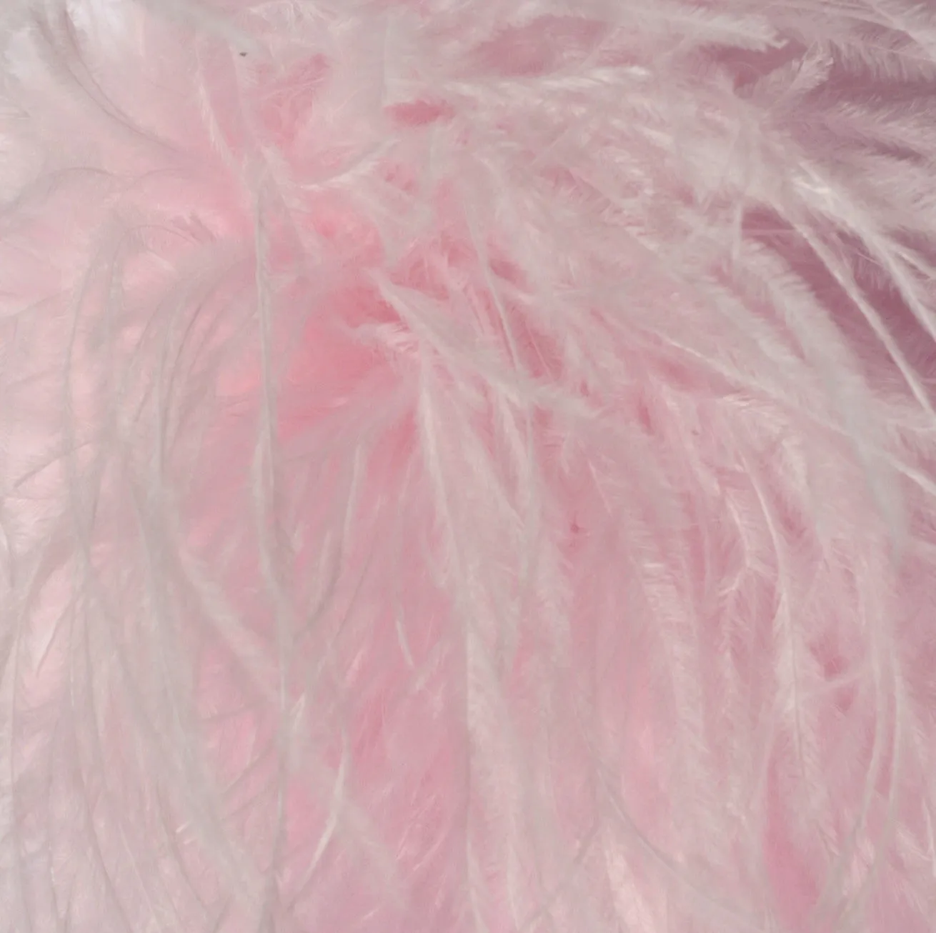 Ostrich Feather Boa