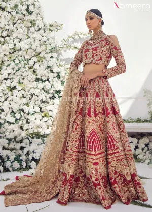 Pakistani Red Lehenga for Marriage with Choli #BR113