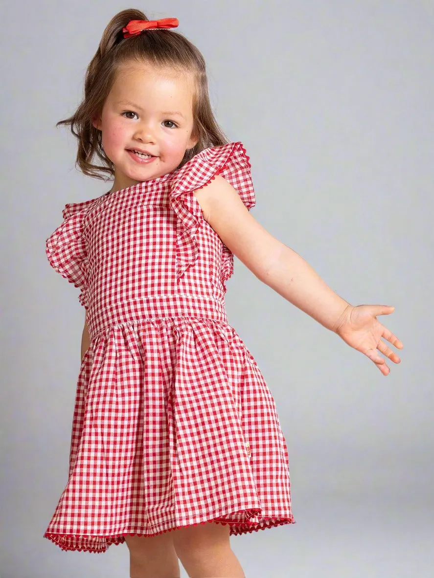 Red Gingham & Lace Dress   Bloomers